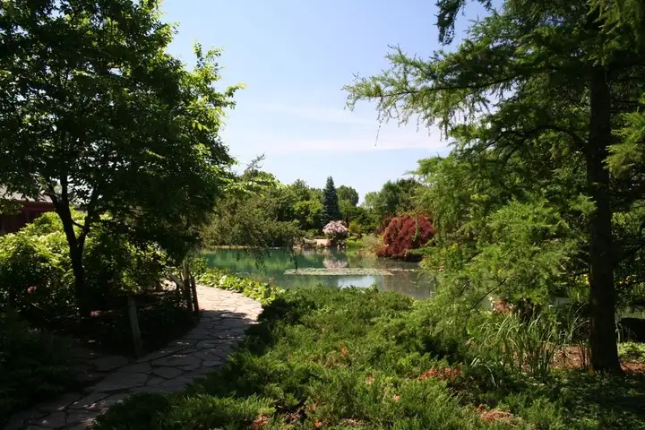 Botanischer garten