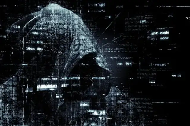 Image by Pete Linforth from Pixabay Security