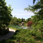 file_015
