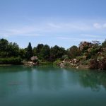 file_019