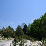 file_022
